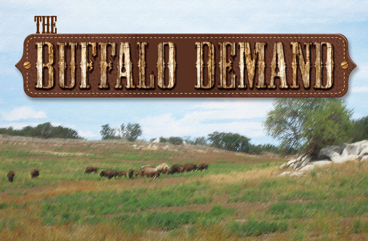 The Buffalo Demand