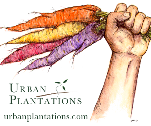 Urban Plantations