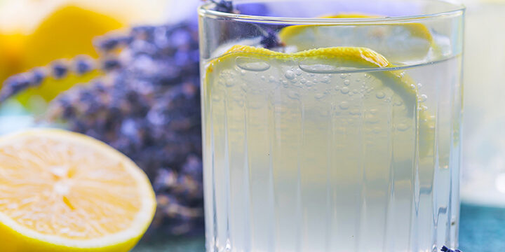 lavender lemon fizz