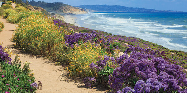 stepping-wellness stepping into wellness